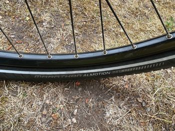 Winora Sinus R8f Eco 2023 Urban usato, Verde — immagine 7 di 7