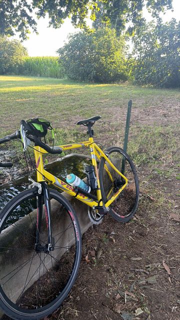 Used Viner Custom Other Campagnolo 2000 Road & Gravel, Orange — image 2 of 3