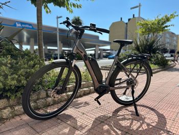 Used Giant Custom 2026 Urban, Light Gray — image 7 of 11