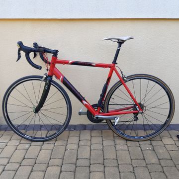 Used Borgini Aviatico 2009 Road & Gravel, Red — image 8 of 9