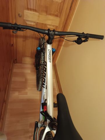 Used Radon CRAGGER 7.0 2024 2024 Mountainbike, Light Gray, 29 — image 3 of 4