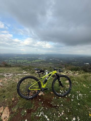 Used Lapierre Prorace CF 7.9 2023 2023 Mountainbike, Green — image 3 of 4