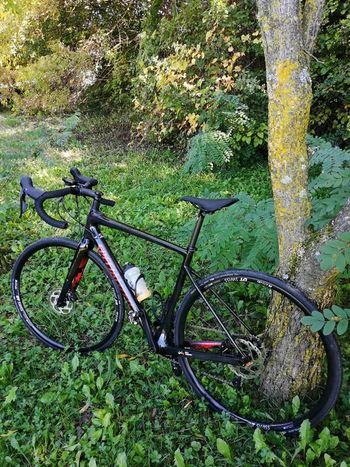 Used Specialized Diverge Sport Carbon 2020 2020 Road & Gravel
