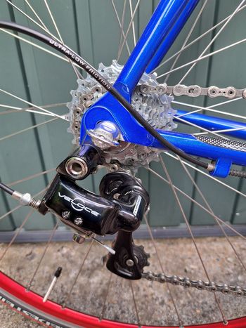 Used Pinarello Paris Campagnolo Record 1998 Road & Gravel, Blue — image 4 of 9