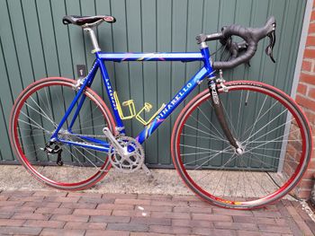 Used Pinarello Paris Campagnolo Record 1998 Road & Gravel, Blue — image 2 of 9