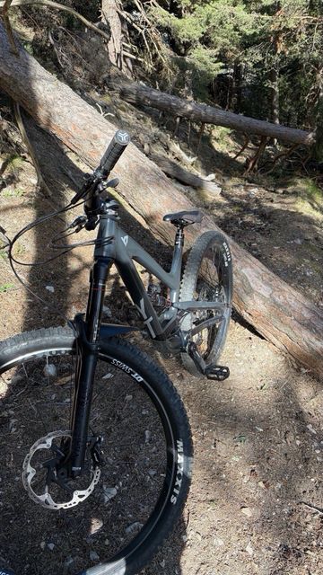 Tweedehands YT Industries Capra Pro AL 29 2022 2022 Mountainbike — afbeelding 7 van 31