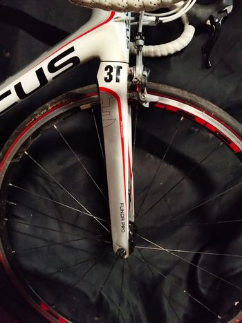 Focus Izalco 2013 Road & Gravel usato, Bianco — immagine 6 di 7