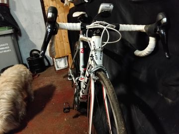Tweedehands Focus Izalco 2013 Road & Gravel — afbeelding 3 van 7