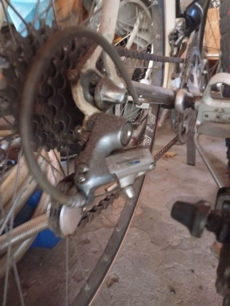 Used Pinarello Asolo Shimano 600 1995 Road & Gravel, White — image 3 of 12