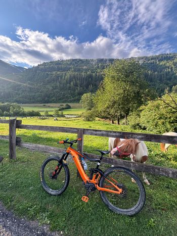 Used Giant Trance E+ 1 Pro 2019 2019 MTB