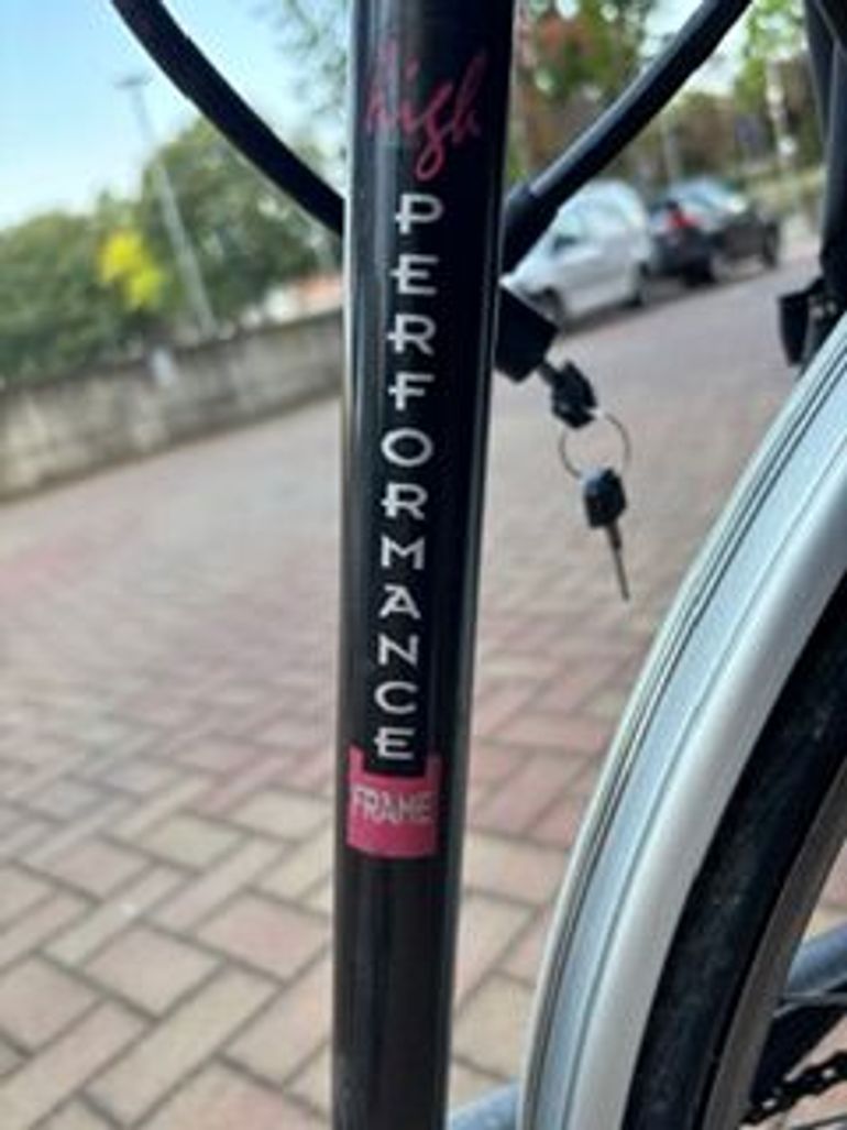 Used Cicli Adriatica Light Performance Frame 1993 Urban, Light Gray — image 2 of 6