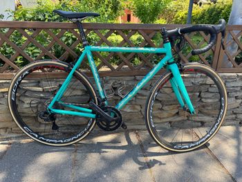 Used Dario pegoretti Custom Frameset 2021 Road & Gravel