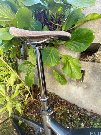 Used Trek Fuel ex Frameset 2024 Mountainbike, Black — image 11 of 12