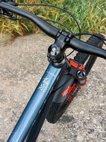 Used Vitus Sentier VR 29 2021 Mountainbike, Blue — image 5 of 15