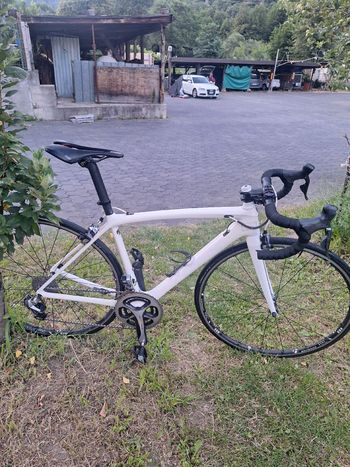 Brugt Trek Émonda SLR 9 2017 2017 Road & Gravel — billede 2 af 7