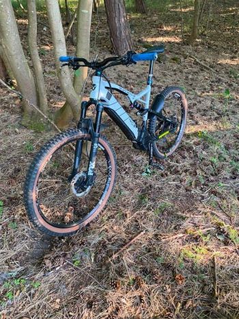 Gebrauchtes Rotwild RC + 2019 MTB