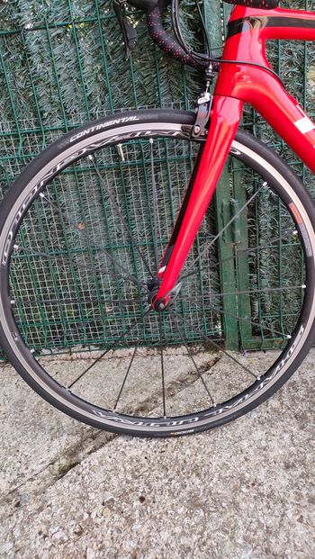 Trek Sl6 2020 Road & Gravel usato, Rosso — immagine 14 di 14
