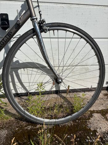 Battaglin Stahlrahmen Urban usato, Grigio chiaro — immagine 5 di 9