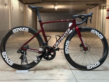 Gebrauchtes Specialized Allez - Shimano Claris 2024 2024 Road & Gravel