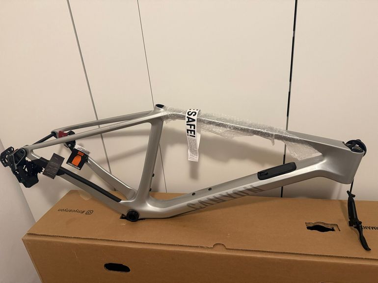 Used Canyon Exceed CF 9 AXS 2025 Frameset 2025 Mountainbike, Light Gray, 29 — image 16 of 24