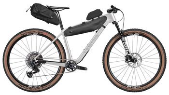 Used Canyon Exceed CF 9 AXS 2025 Frameset 2025 Mountainbike, Light Gray, 29 — image 37 of 46