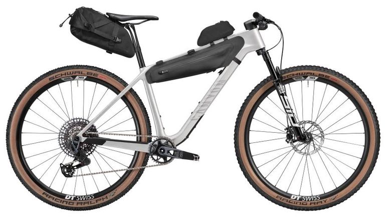 Used Canyon Exceed CF 9 AXS 2025 Frameset 2025 Mountainbike, Light Gray, 29 — image 37 of 46