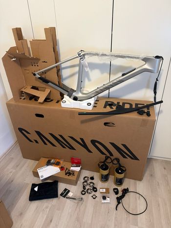 Used Canyon Exceed CF 9 AXS 2025 Frameset 2025 Mountainbike, Light Gray, 29 — image 5 of 46