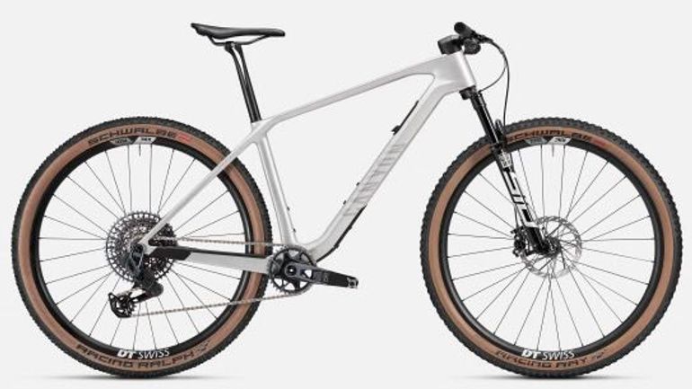 Used Canyon Exceed CF 9 AXS 2025 Frameset 2025 Mountainbike, Light Gray, 29 — image 22 of 24