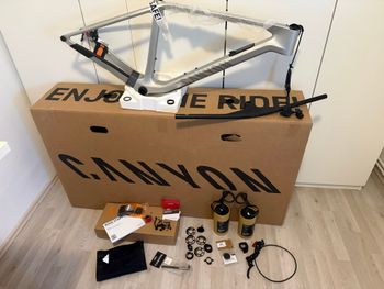 Used Canyon Exceed CF 9 AXS 2025 Frameset 2025 Mountainbike, Light Gray, 29 — image 11 of 46