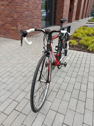 Used Colnago Custom Campagnolo Record 2008 Road & Gravel, Black — image 2 of 5