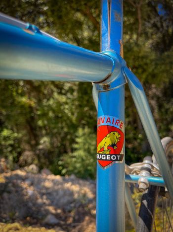 Gebrauchtes Peugeot Velo Simplex Vintage 1980 Road & Gravel, Blau — Bild 4 von 8