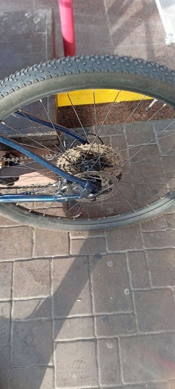 Used Pells Custom Shimano Deore XT 2023 Mountainbike, Blue — image 6 of 9