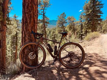 Used Ari Shafer Comp 2026 2026 Road & Gravel