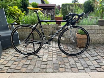 Použité Radon Viper 2003 Road & Gravel