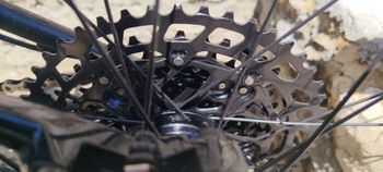 Gebrauchtes ns bikes NS Eccentric Alu 29 2023 Mountainbike, Schwarz — Bild 5 von 9