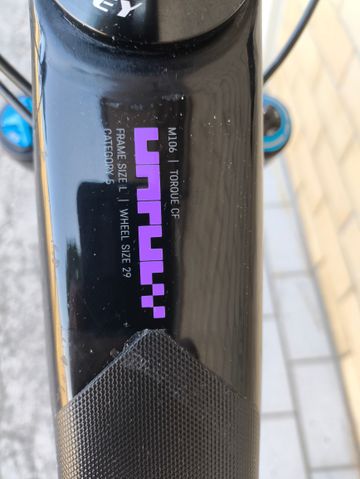 Used Canyon Torque 29 CF 8 2023 2023 Mountainbike, Black, 29 — image 9 of 20