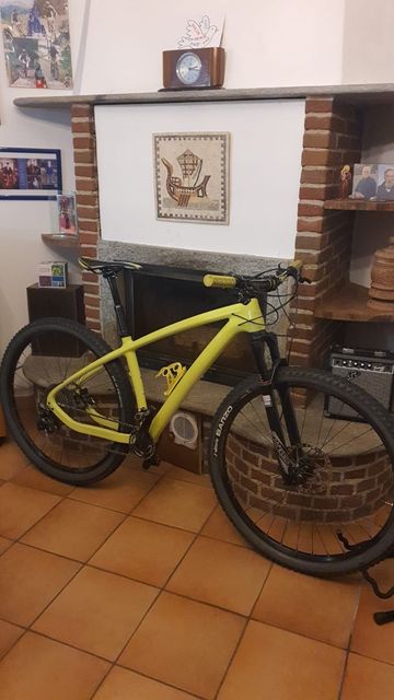 Brugt Carbon Pro Custom Shimano XTR 2016 MTB