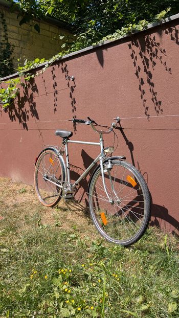 Used Sputnik Custom 1995 Urban, Light Gray — image 2 of 7