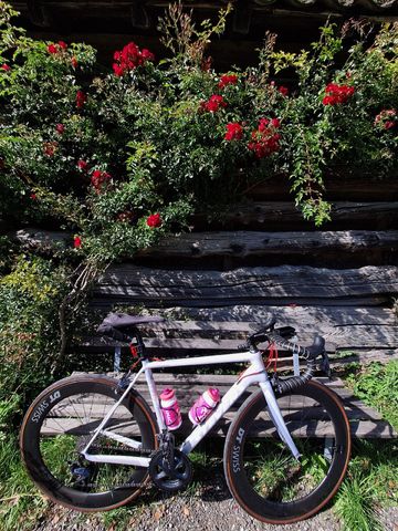 Used Stevens Custom Shimano Ultegra 2020 Road & Gravel, White — image 17 of 17