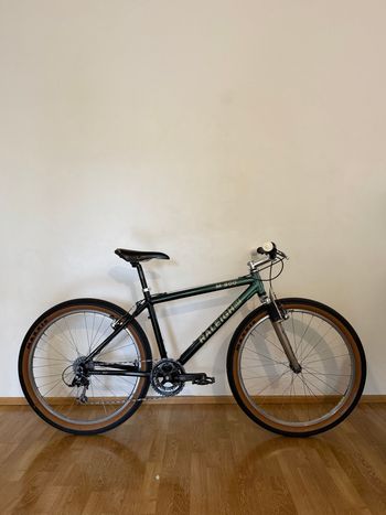 Gebrauchtes Raleigh Custom Shimano Deore LX 1998 MTB