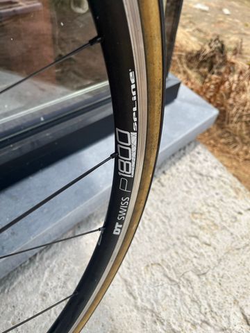Used Gazelle titanium Custom Shimano 105 2014 Road & Gravel, Light Gray — image 4 of 12