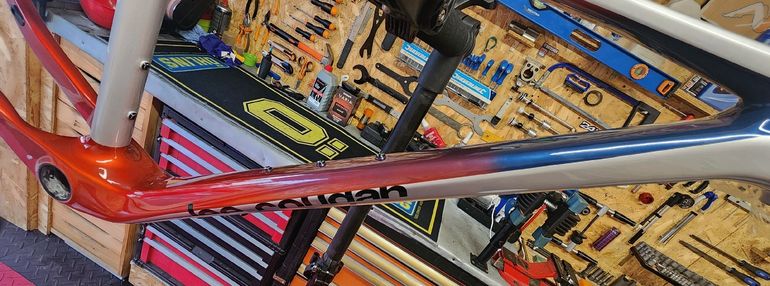 Used Lee Cougan Rampage Origin Team Eagle 2026 Frameset 2026 Mountainbike, Light Gray, 29 — image 4 of 5