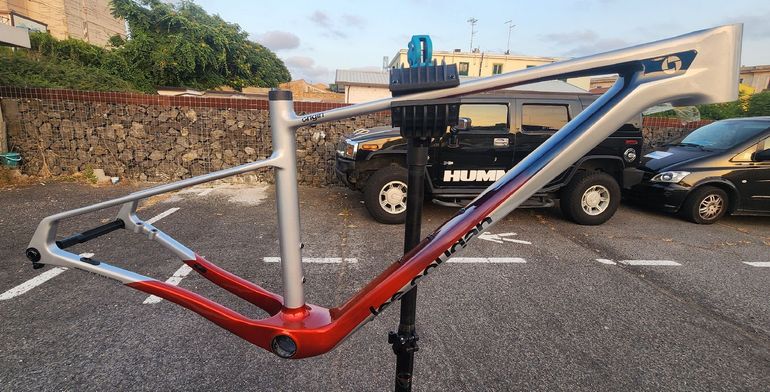 Used Lee Cougan Rampage Origin Team Eagle 2026 Frameset 2026 Mountainbike, Light Gray, 29 — image 2 of 5