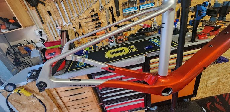 Used Lee Cougan Rampage Origin Team Eagle 2026 Frameset 2026 Mountainbike, Light Gray, 29 — image 3 of 5
