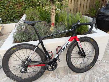 Gaint TCR Advance SL 2019 Road & Gravel usato