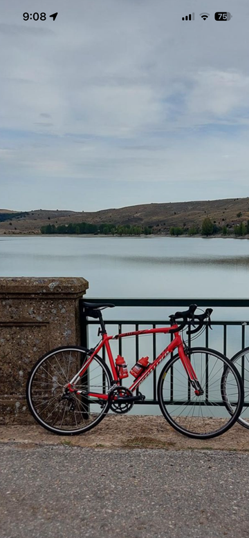 Gebrauchtes Specialized Allez 2019 2019 Road & Gravel, Rot — Bild 1 von 7