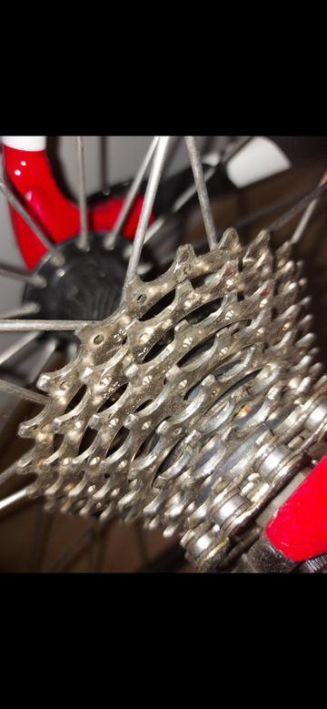 Gebrauchtes Specialized Allez 2019 2019 Road & Gravel, Rot — Bild 4 von 7