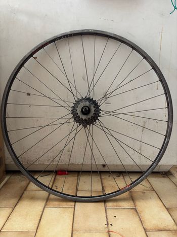Gebrauchtes Colnago Master Other Campagnolo 1980 Road & Gravel, Rot — Bild 10 von 11
