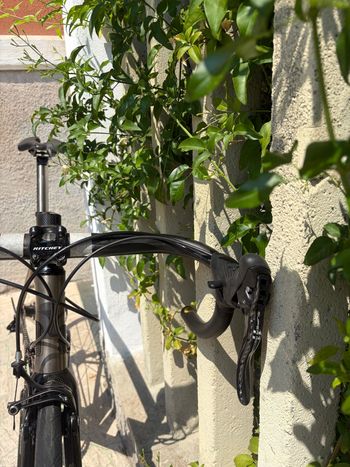Used Carraro Custom Campagnolo Super Record 2009 Road & Gravel, Light Gray — image 9 of 15