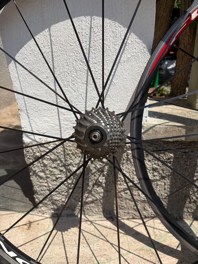Used Carraro Custom Campagnolo Super Record 2009 Road & Gravel, Light Gray — image 15 of 15